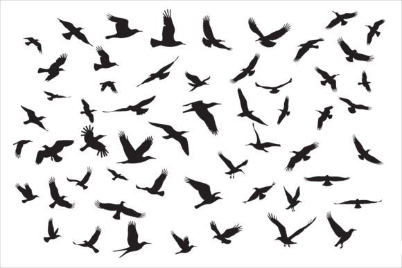 Dynamic Visuals with Flying Bird Silhouettes in Motion