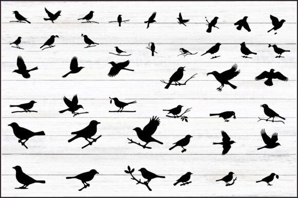 Flight of Freedom: Birds in Motion: A Visual Asset